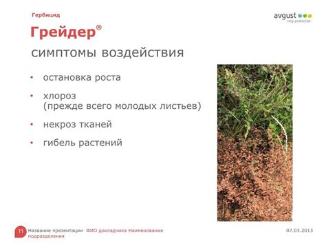 Презентация гербицида Грейдер