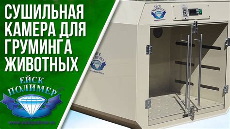 Сушильная камера для Груминга животных - YouTube