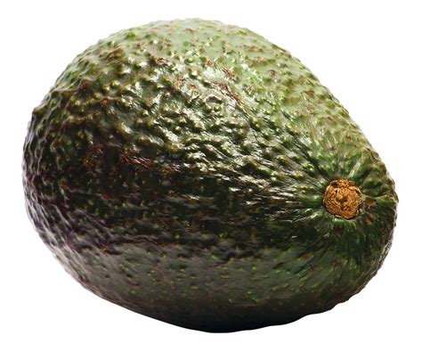 avocado png transparent images
