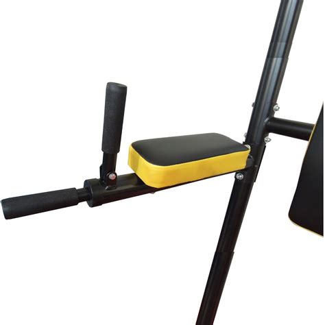 Стойка для подтягиваний Athletic DFC SJ600 | Stenka24