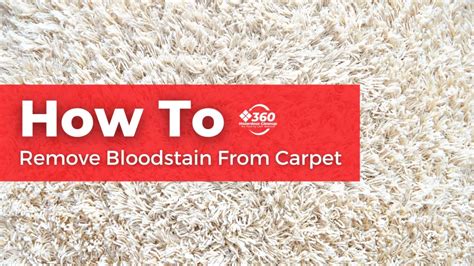 How To Remove Blood Stains From Carpet 360 Hazardous Cleanup