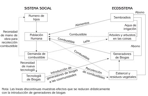 Arriba 65 Imagen Ecologia Humana Mapa Mental Abzlocal Mx