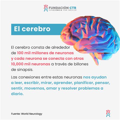 Fundación Ctr 🧠el Cerebro Es Un órgano Vital Controla