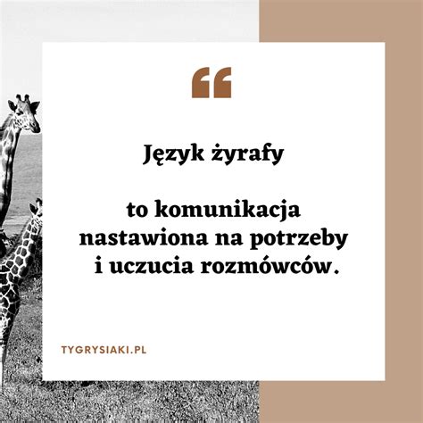 Porozumienie Bez Przemocy Co To Jest Nvc