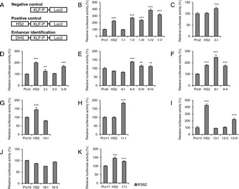 Enhancer Identification In K562 Cells Using The Dlr Assay With Klf Ps Download Scientific