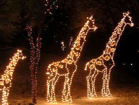 Tucson Zoolights