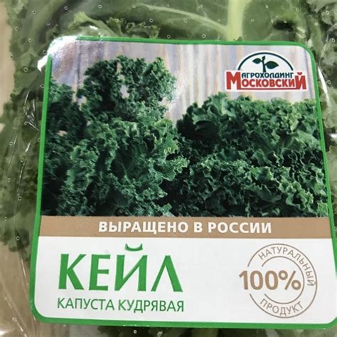 Кейл Агрохолдинг Московский (капуста кудрявая) | отзывы