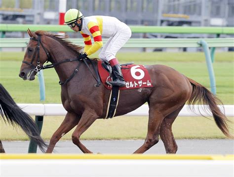 【京王杯2歳s】函館2歳s覇者ゼルトザームはブービー11着で初黒星 浜中俊騎手「テンションも高かった」 Umatoku 馬トク