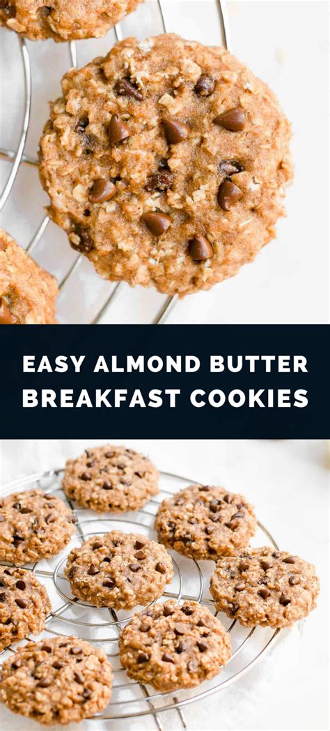 Healthy Chocolate Chip Almond Butter Oatmeal Breakfast Cookies Amys