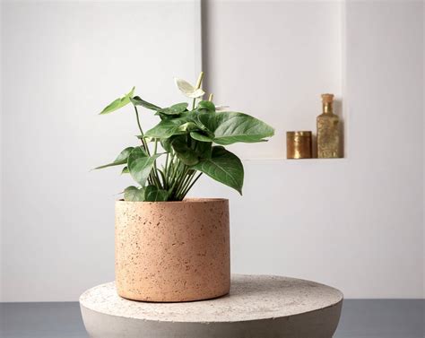 Concrete Mid Century Planter Blush Pink Handpressed Collection