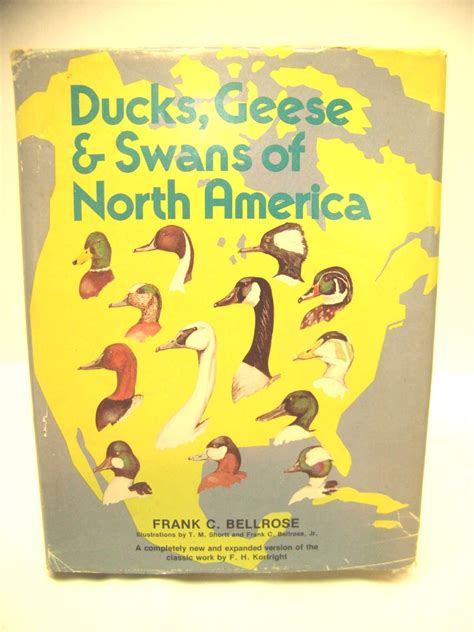 Ducks Geese And Swans Of North America A Completely New And Expanded