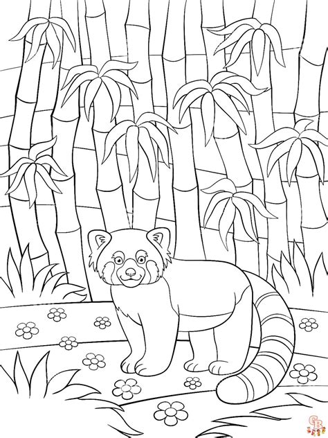 Coloriage Panda Roux Les Plus Beaux Dessins Colorier Imprimer