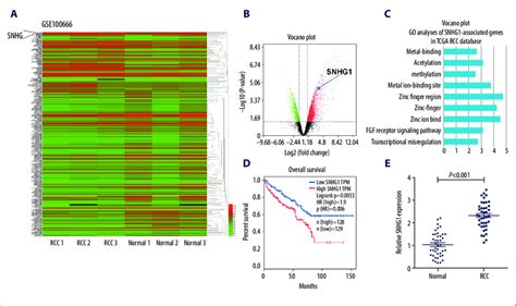 Snhg Is Overexpressed In Human Rcc Tissue And Is Correlated With Poor