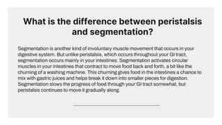 Peristalsis Segmentation Digestive System Pptx