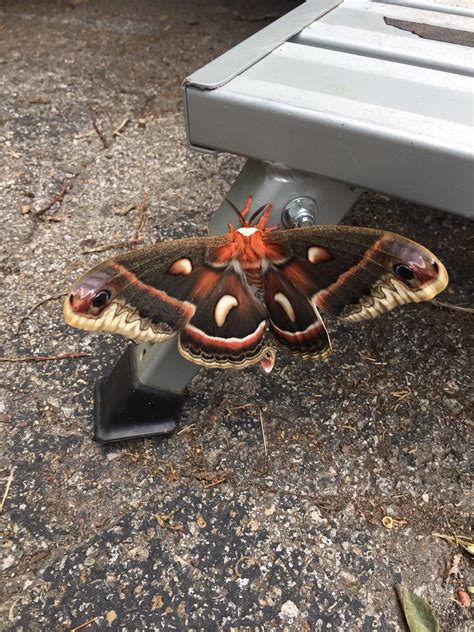 Best Lawrence KS Images On Pholder Aqua Swap Amateur Room Porn And Lawrence