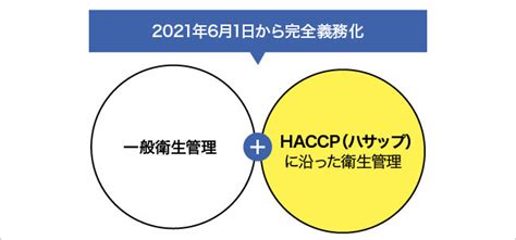 Haccpとは？2021年の義務化にどう対応するべきか詳しく解説 中小企業応援サイト Ricoh