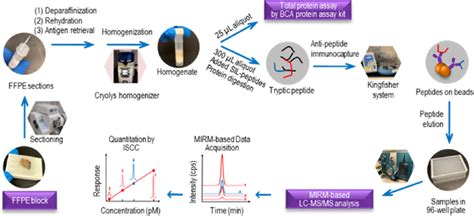 Schematic Representation Of LC MS MS Methodology To Quantify Clinical