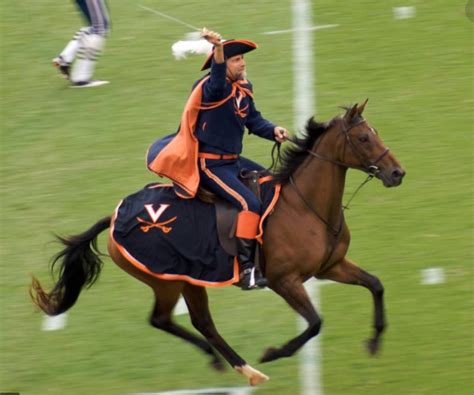 A Look At How UVA’s Mascot Has Changed Over Time