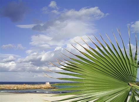 Beach in Sousse, Tunisia Free Photo Download | FreeImages