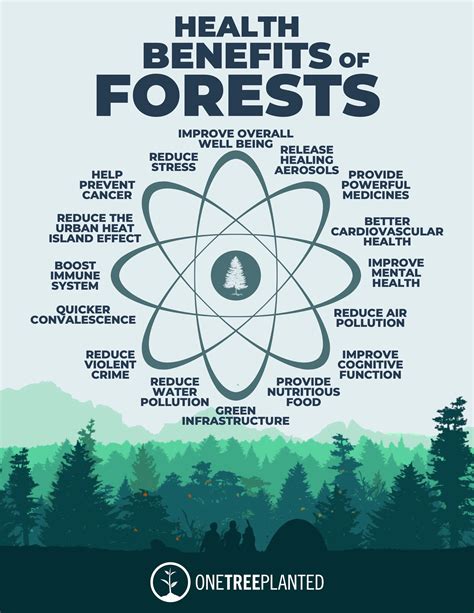 18 Health Benefits of Trees and Forests - One Tree Planted