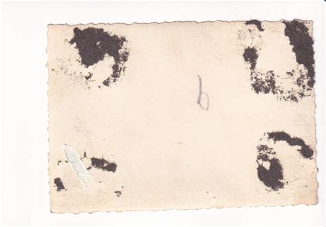 Ww Foto Elitesoldaten Leibstandarte Nackte Soldaten Beim Baden Gay Nude Akt Eur Picclick De