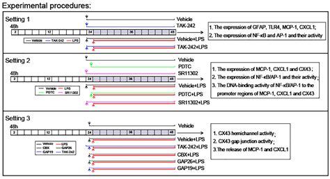 Frontiers NF κB and AP 1 are required for the lipopolysaccharide