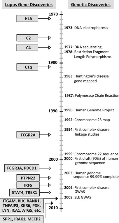 A timeline of discoveries in human genetics (right) and confirmed genes ...