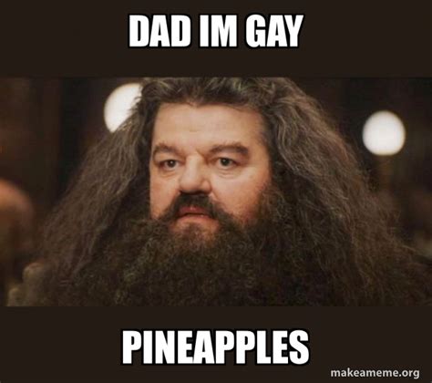 Dad Im Gay Meme Teenskasap