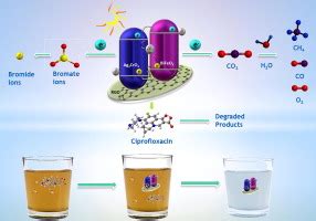 高可见活性Ag 2 CrO 4 Ag BiFeO 3 RGO纳米结用于CO 2的 光还原以及环丙沙星和溴酸根离子的光催化去除Ag