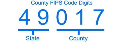 Understanding FIPS Codes Definition And Application JoyAnswer Org