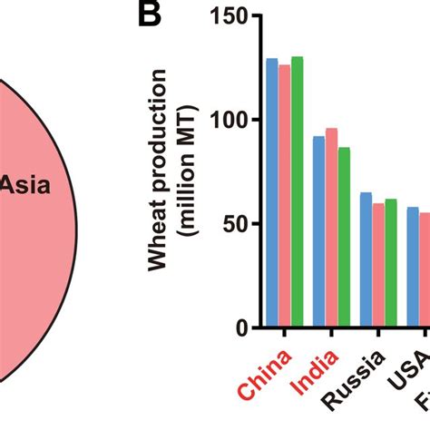 World Wheat Production A World Wheat Production By Continents