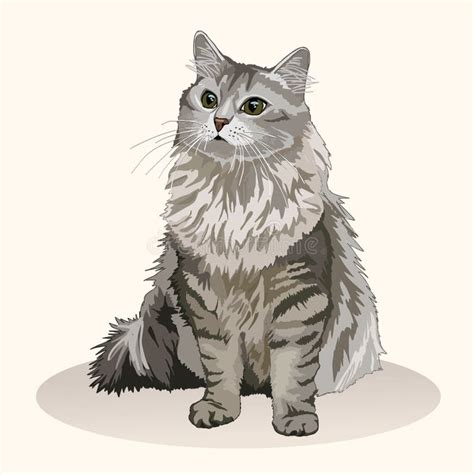 Siberian Cat Stock Illustrations 10729 Siberian Cat Stock