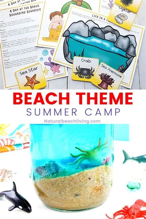 Beach theme summer camp activities for kids – Artofit