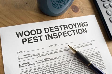 Real Estate Termite Inspections And Accurate Pest Control Nj Termite Pest Control And