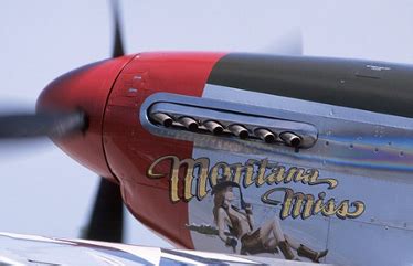 Total 50+ imagen p51 mustang tom cruise - fr.thptnganamst.edu.vn