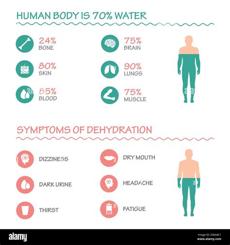 Infografía Beneficios Del Agua Potable