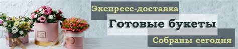 Доставка цветов в СПб | купить цветы дешево на butterfly-flower.ru ...