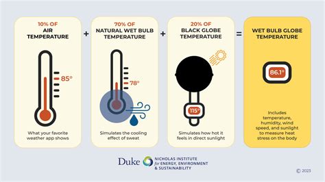 What Is Wet Bulb Globe Temperature WBGT The Nicholas Institute For