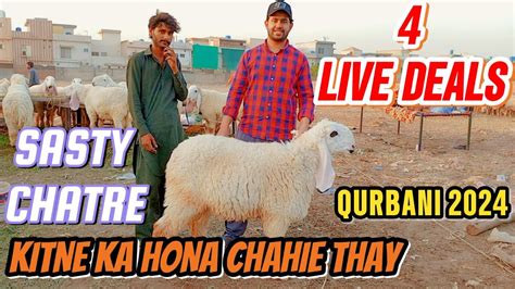 4 Live Soda Kitne Ka Hona Chahie Tha Sasty Desi Chatre Qurbani