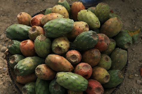 Beles Fruit Mekele Ethiopia Flickr Photo Sharing