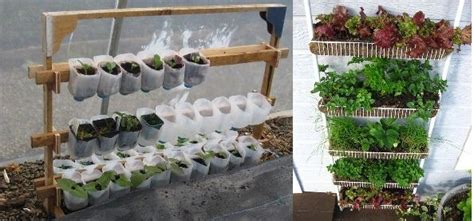 Berkebun Di Lahan Sempit Dengan Kebun Vertikal