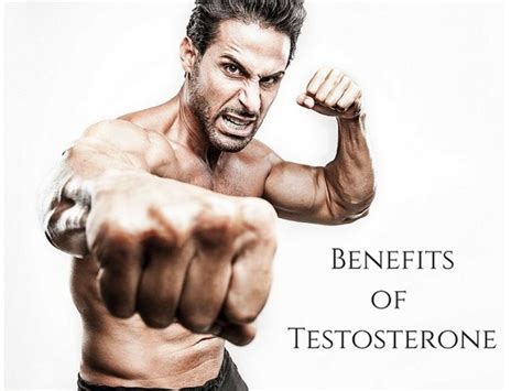 What Are The Benefits Of Taking Testosterone Boosters Testo Max