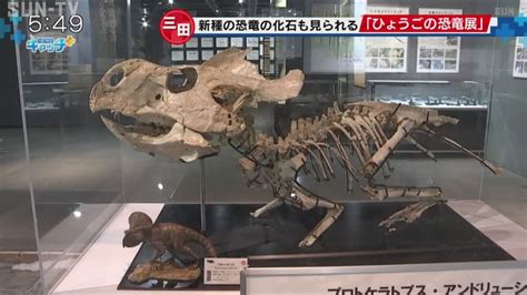 ひょうごの恐竜展 丹波市で発見された新種化石の全体を初公開 Youtube