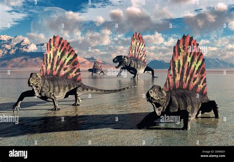 Permian Triassic Extinction