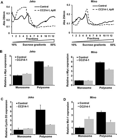 Jeko 1 Cells Bioz Ratings For Life Science Research