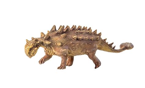 Premium Photo Ankylosaurus Dinosaur On Isolated Background