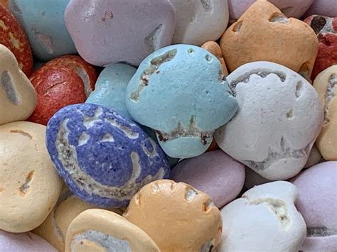 Chocolate Seashells Bulk 3 and 5 lb Bags — Portland Fruit and Nut Co