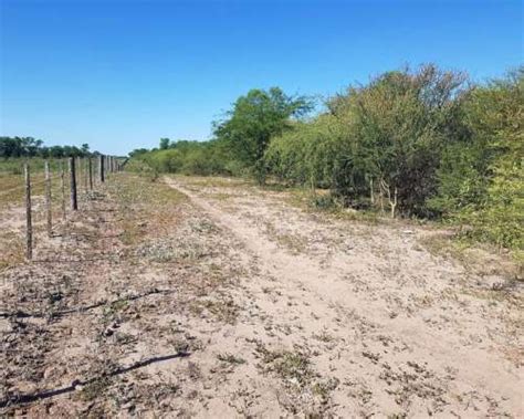 Fernandez Robles Santiago Del Estero Argentina Agroads