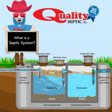 The Ins And Outs Of Septic Systems Quality Septic Inc S Guide