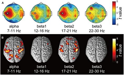 Frontiers Resting State Fluctuations Of EEG Sensorimotor Rhythm